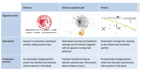 Particle signatures and production processes.