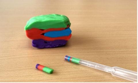 Playdough of different colours, and a pipette with an extracted playdough sample. 